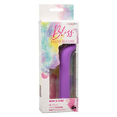 Bliss Liquid Silicone Mini G Vibe Purple 10 Speeds BULLETS